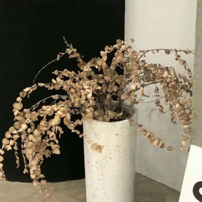 兽设毛发质感表现兽圈群